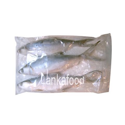 냉동 밀크피쉬 ㅣ Frozen milk fish