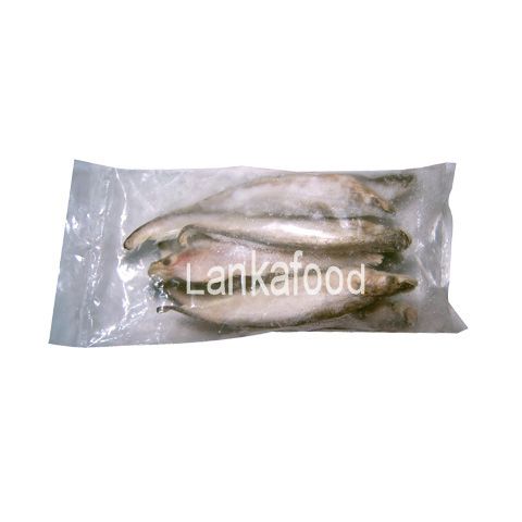 냉동 트위스트 죠 피쉬 ㅣ 팝다 ㅣ Frozen Twisted jaw fish
