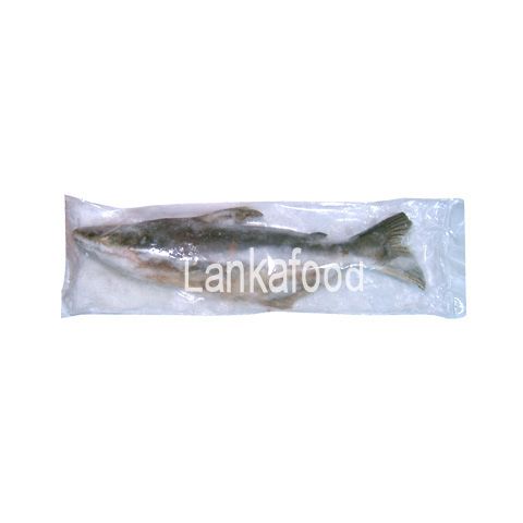 방가시 ㅣ Frozen striped catfish